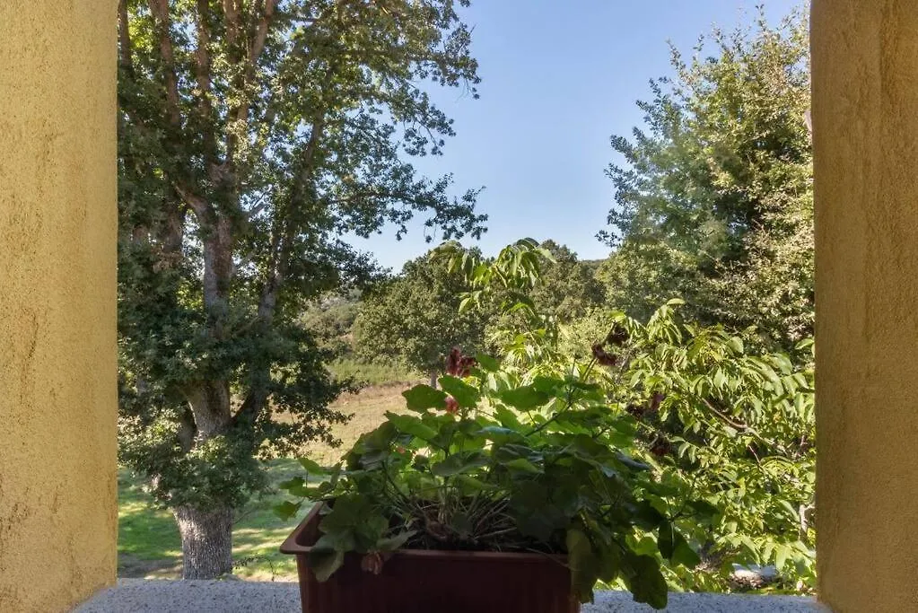Chalet Domus De Janas Immerso Nella Natura Villa Fonni 0*,  Italia