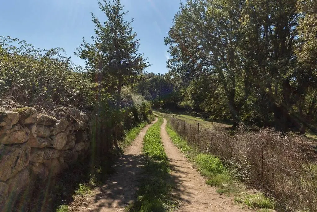 Chalet Domus De Janas Immerso Nella Natura Villa Fonni